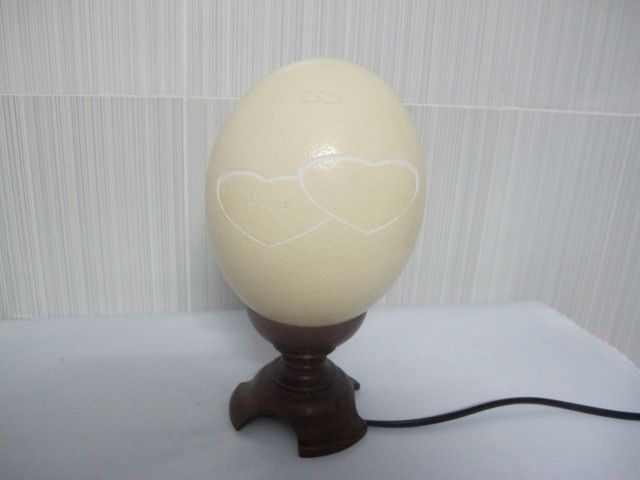 Hướng dẫn làm đèn ngủ bằng vỏ trứng